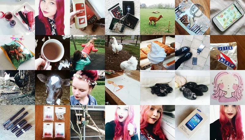 Photodiary week 18