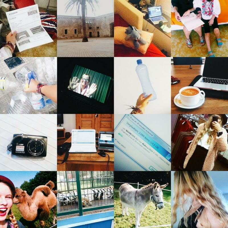 Photodiary week 39
