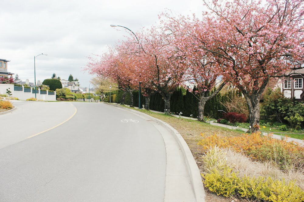 Canada / Bloesembomen!