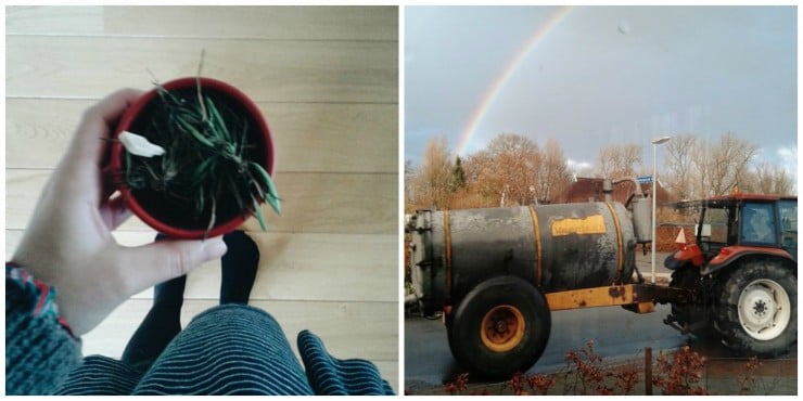 PicMonkey Collage2