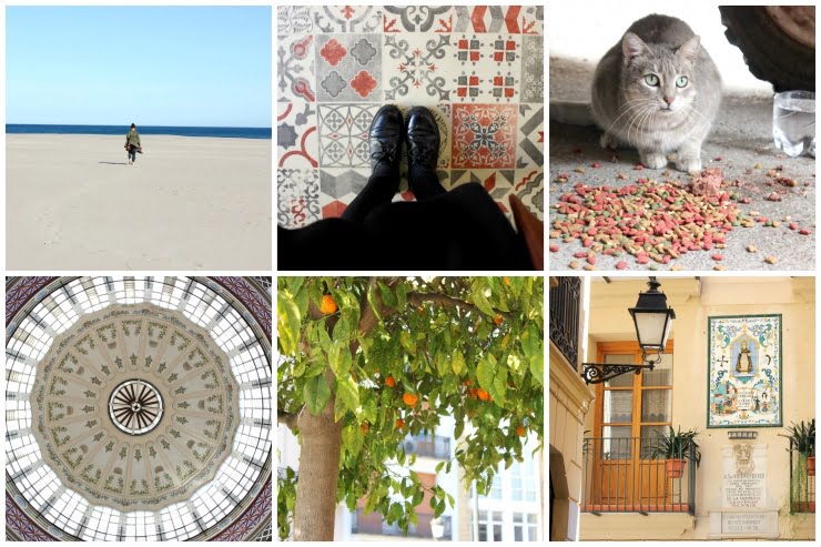 PicMonkey Collage6