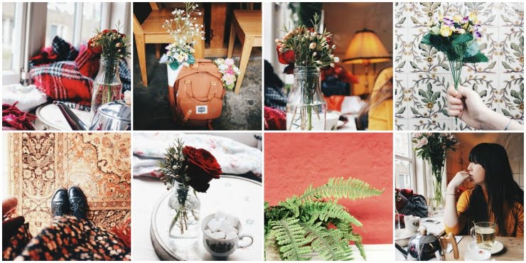 PicMonkey Collage6