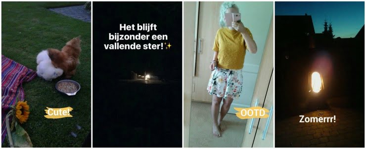 PicMonkey Collage-19