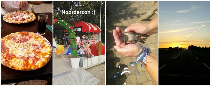 PicMonkey Collage-23