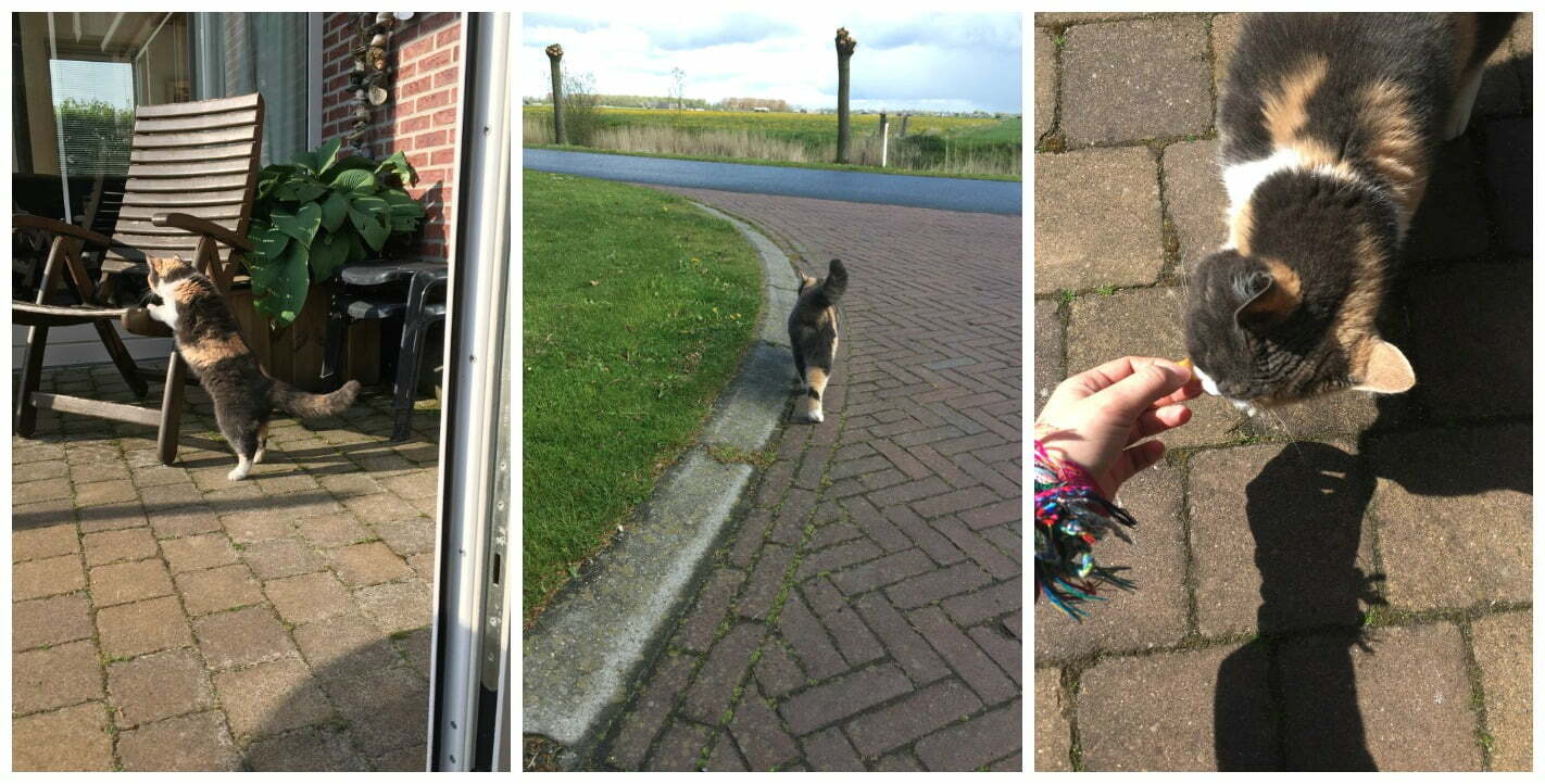 picmonkey-collage7