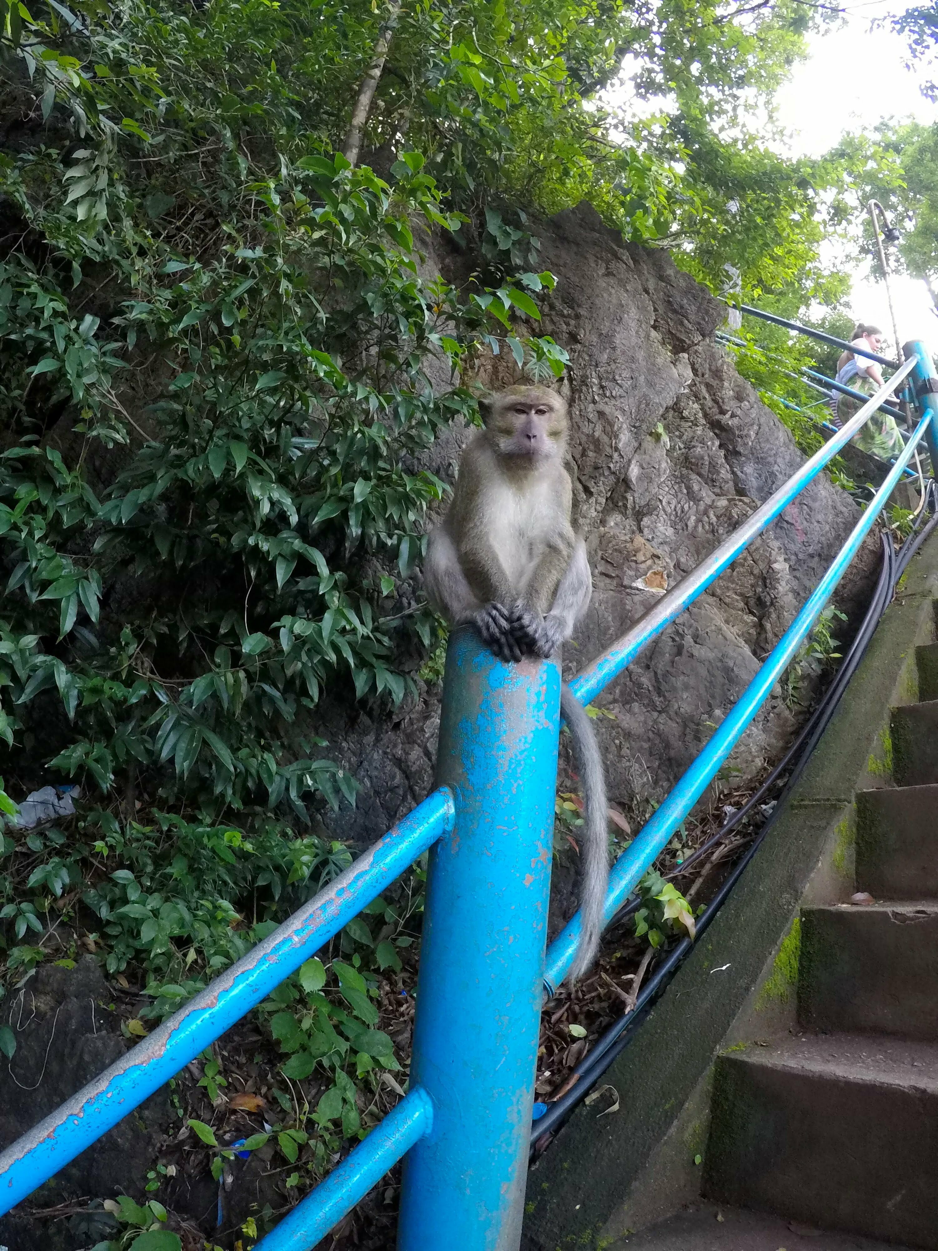 DCIM100GOPROGOPR0579.JPG