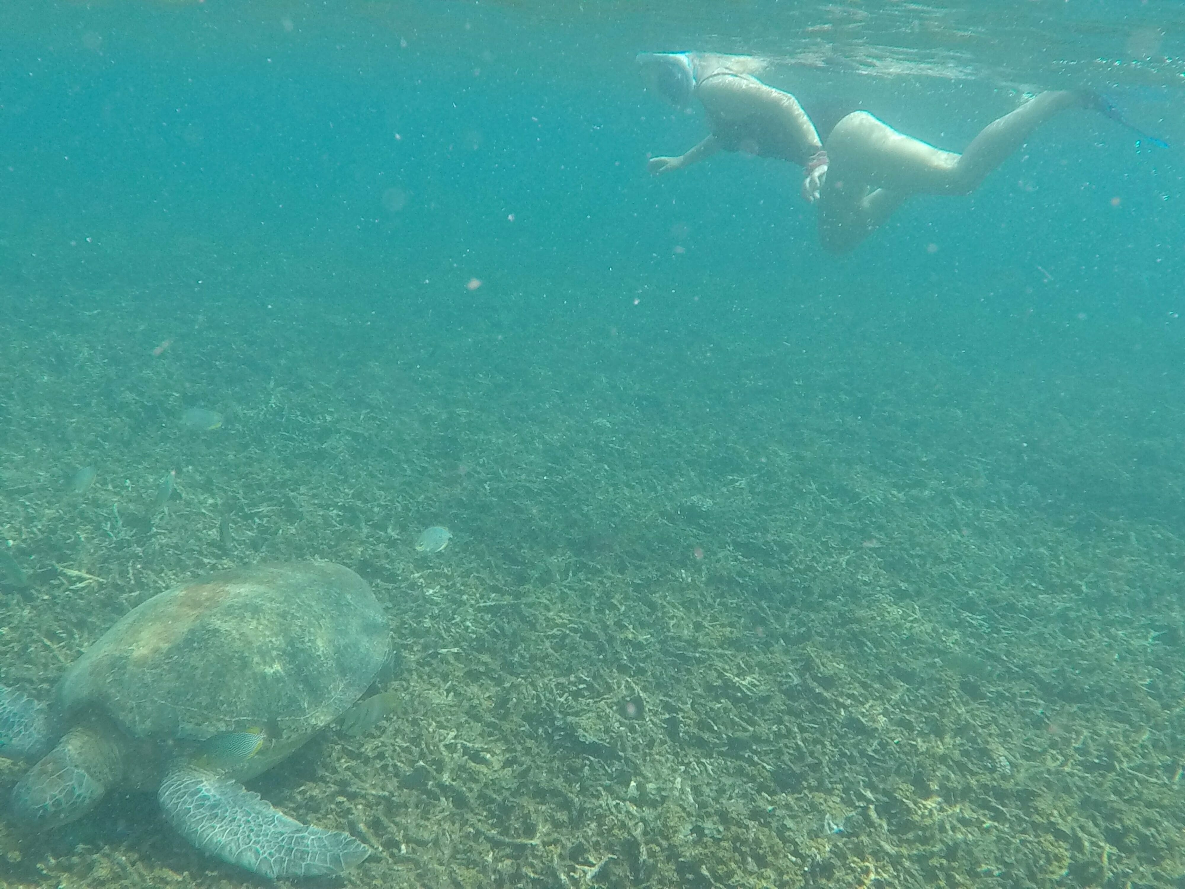 DCIM101GOPROGOPR1305.JPG