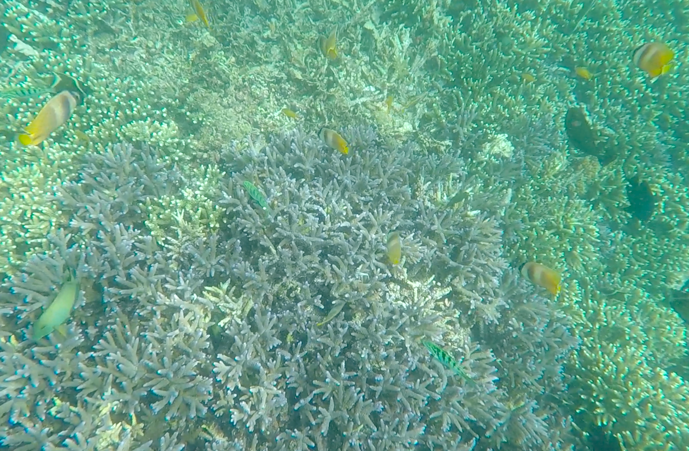 bali-indonesie