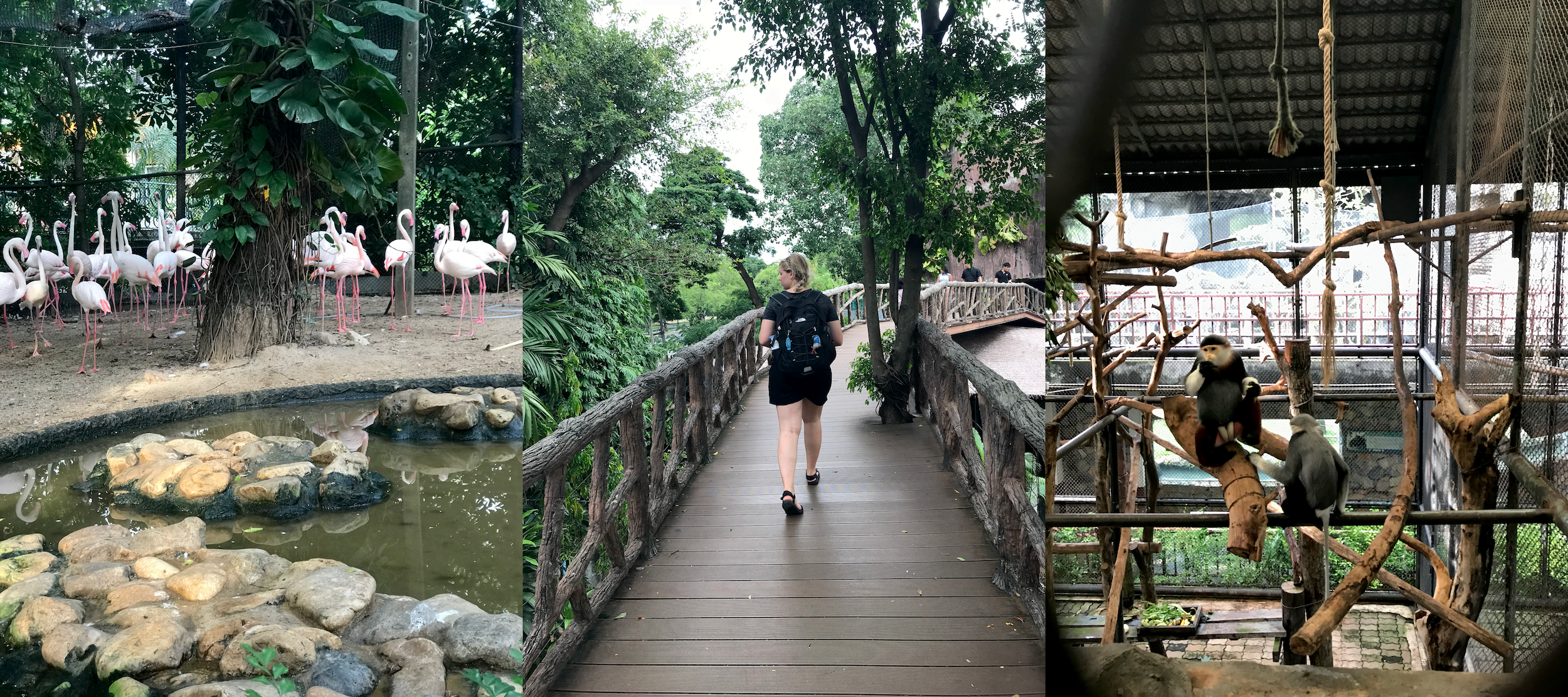 thailand-2