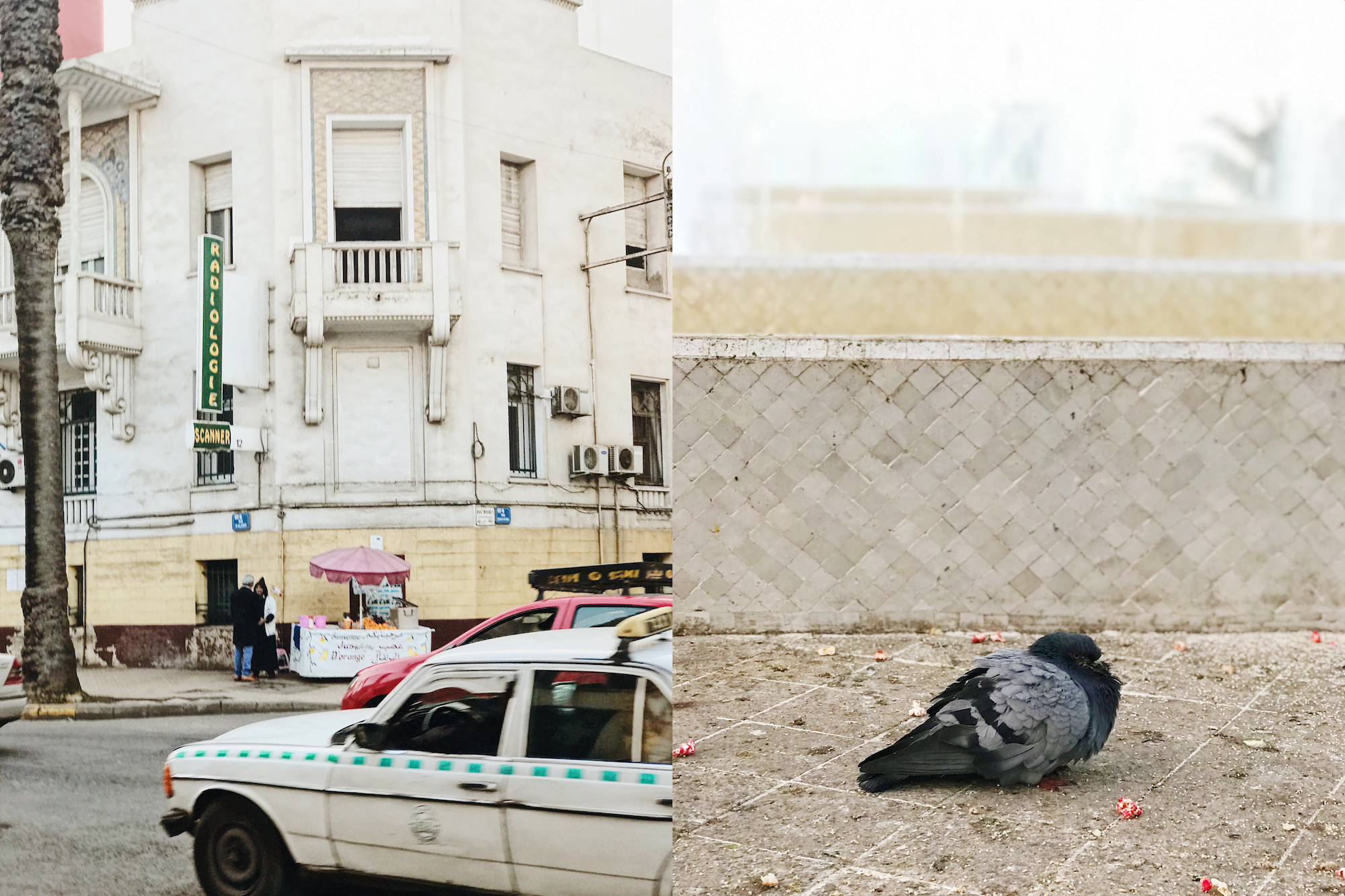 casablanca-10
