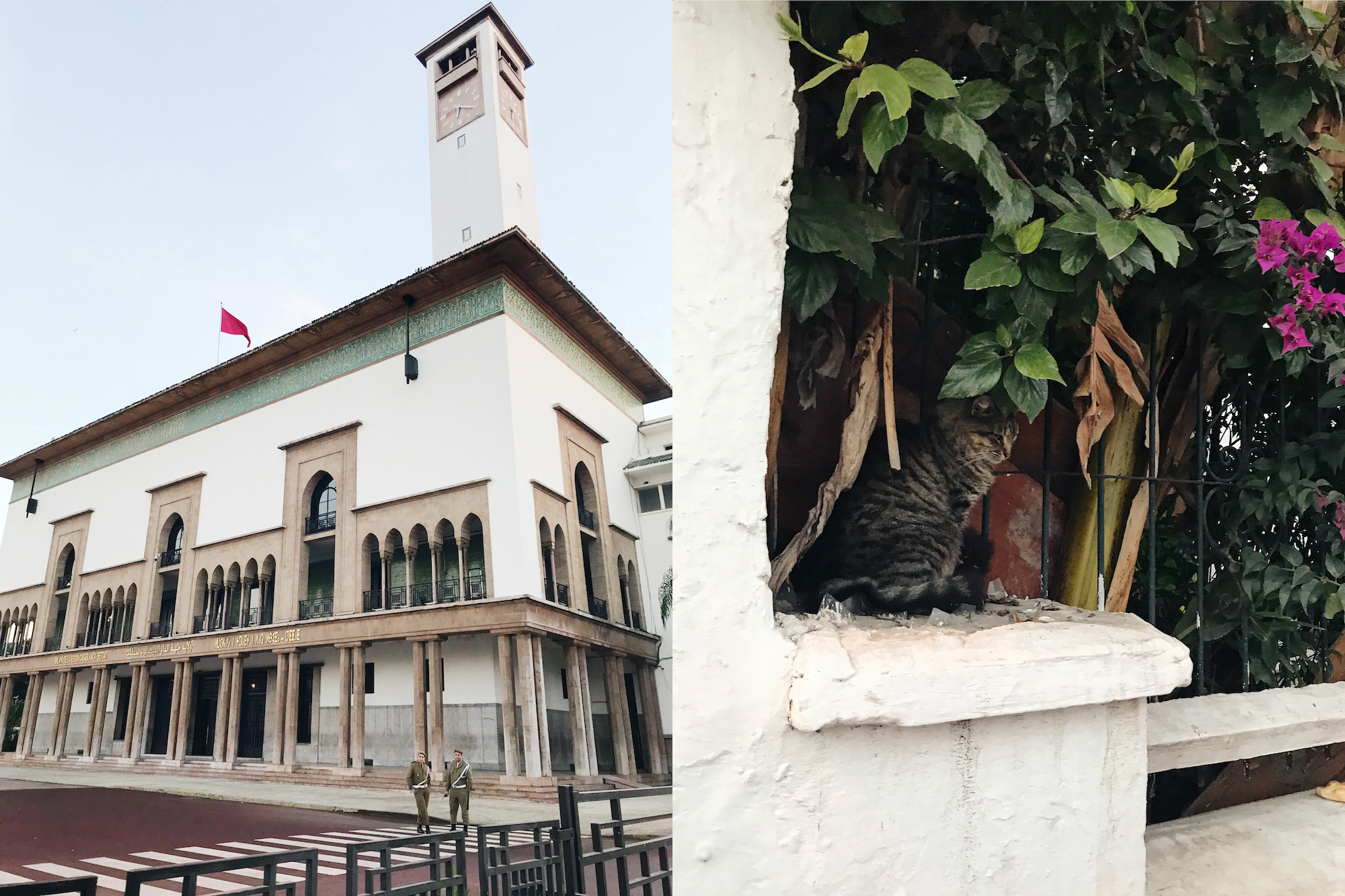 casablanca-15