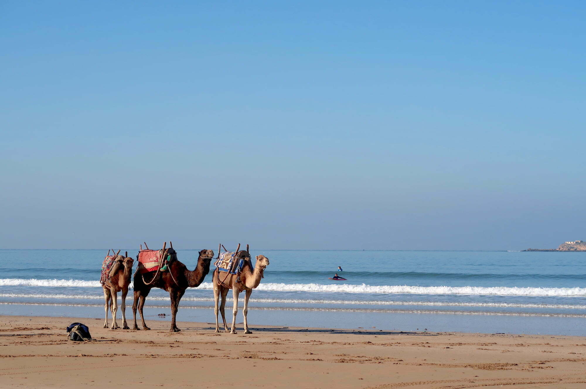 Agadir & nieuwjaarsduiken in Essaouira / Marokko