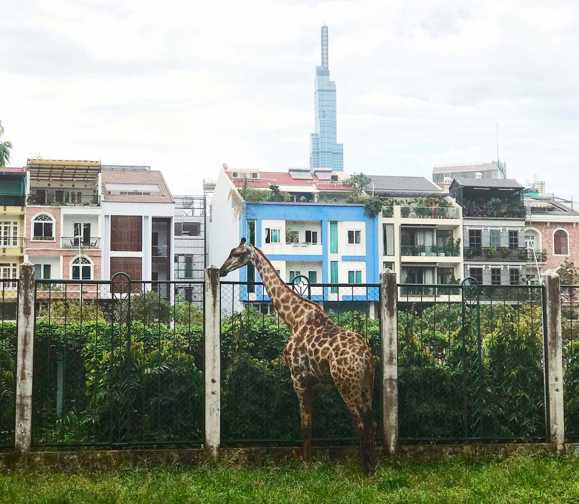 Dierentuin & attractiepark in Ho chi Minh City / Vietnam