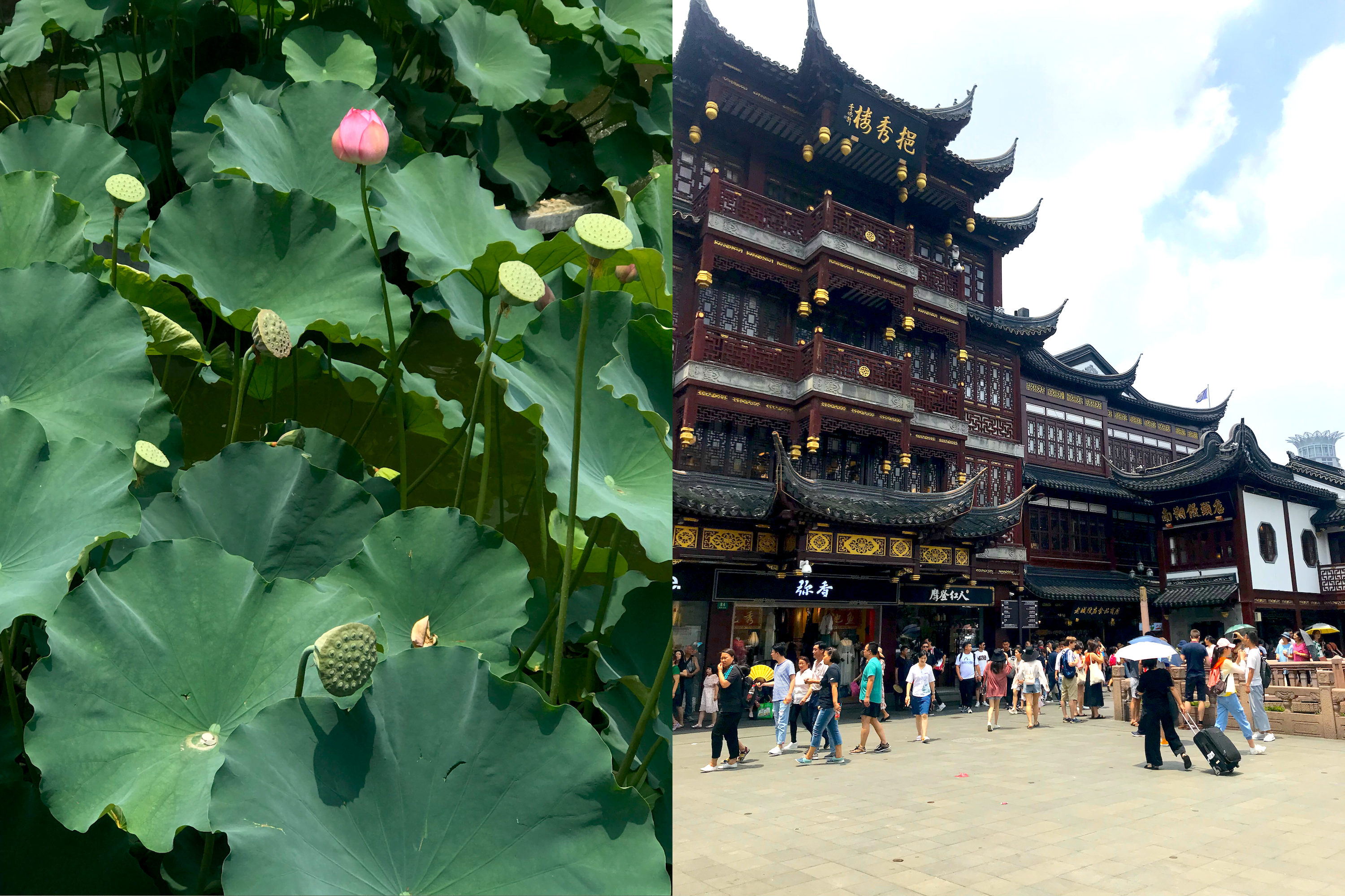 shanghai-11