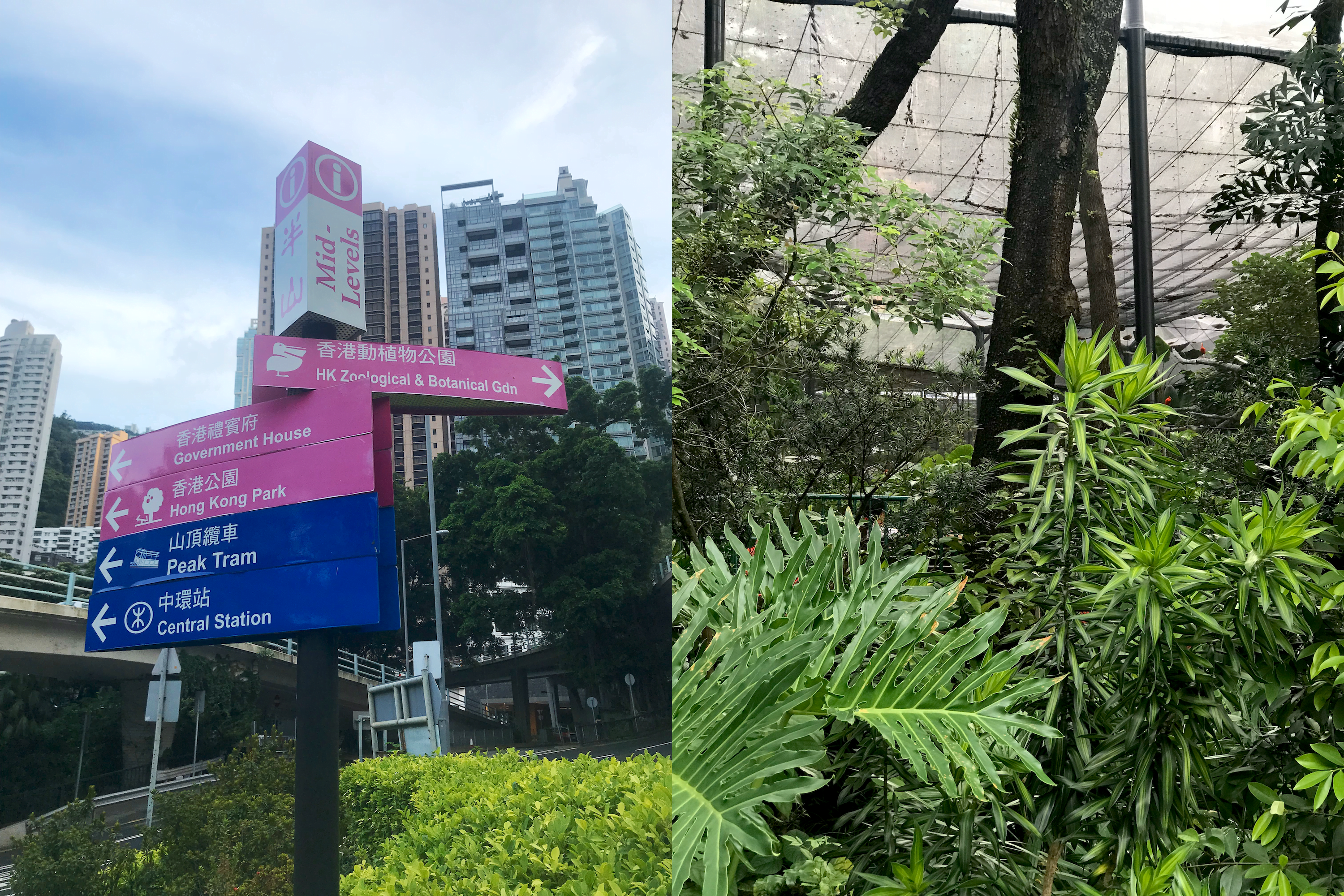 hong-kong-5