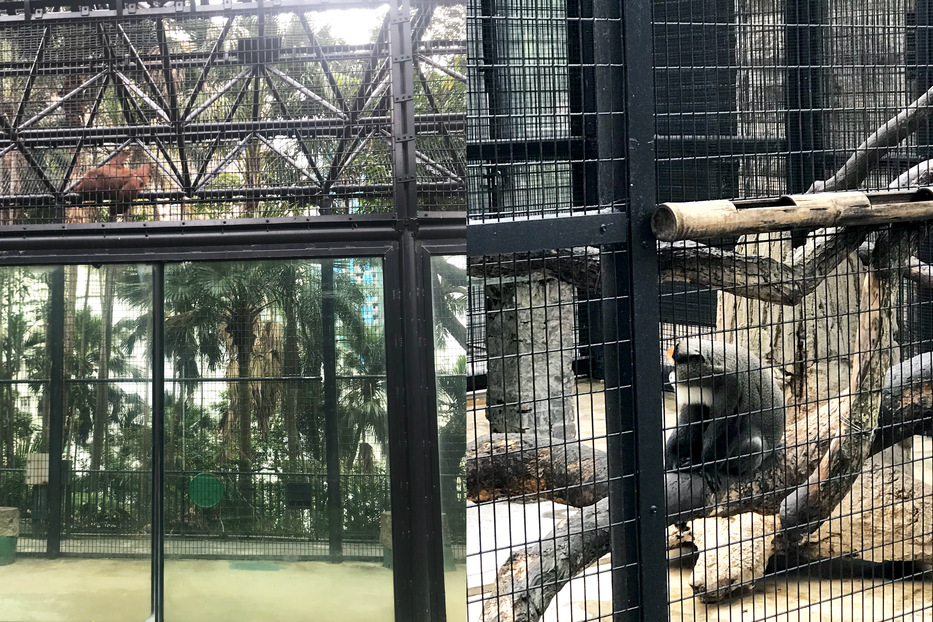 hong-kong-8