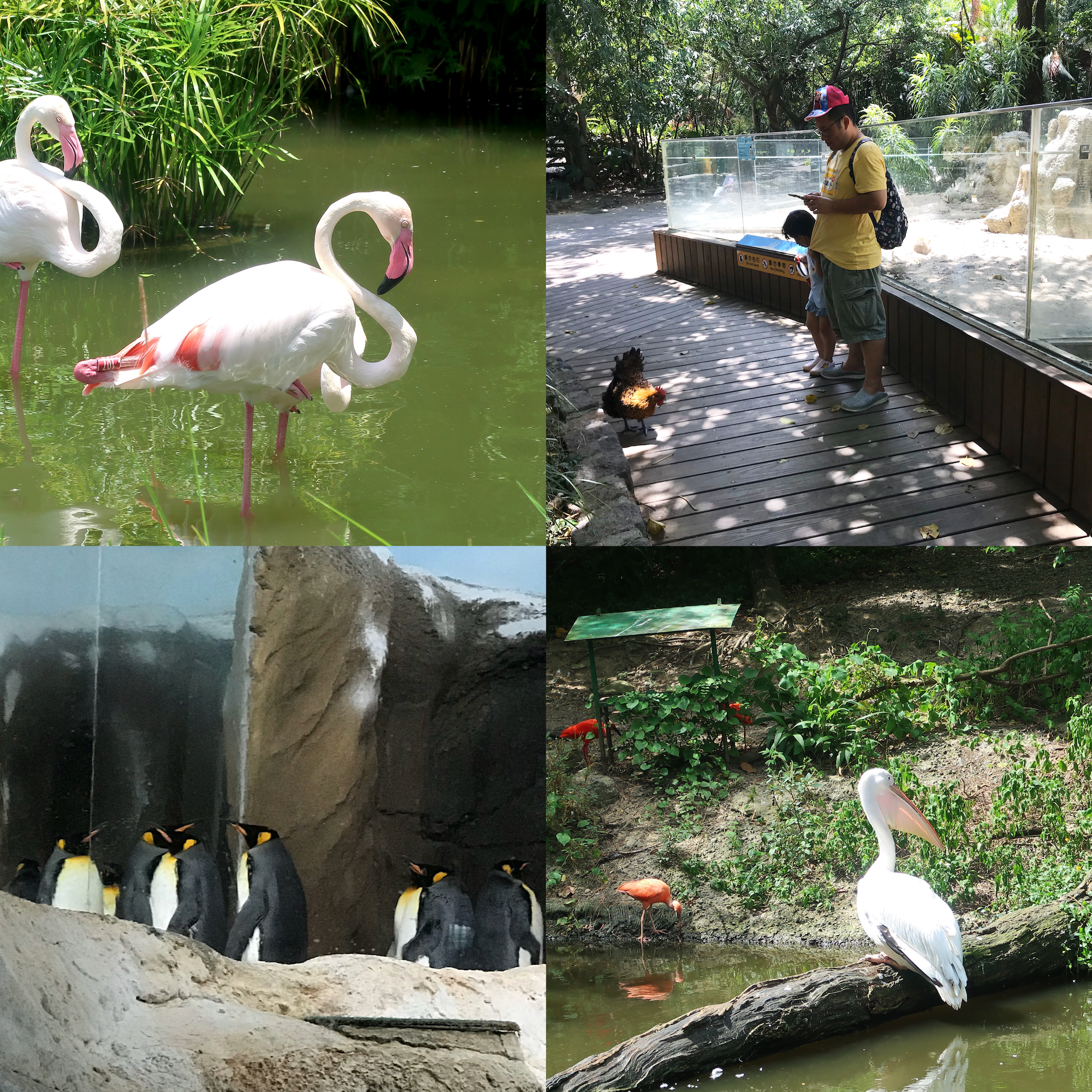 taiwan-10