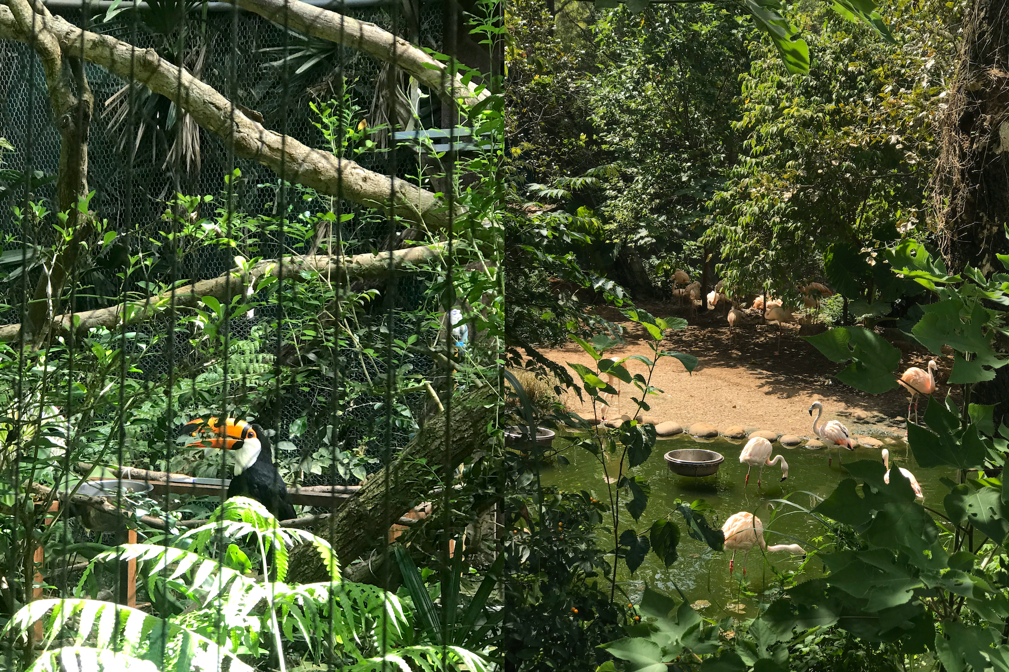 taiwan-5