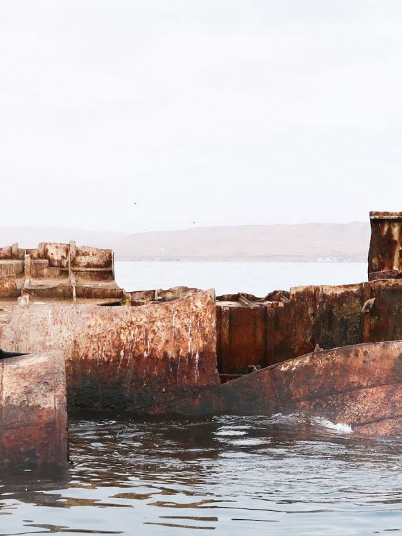 Peru – Paracas, zeeleeuwen & pinguïns spotten