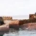 Peru – Paracas, zeeleeuwen & pinguïns spotten